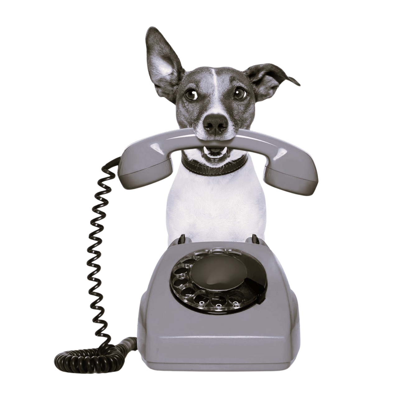 istockphoto-621138854-2048x2048 - Edited